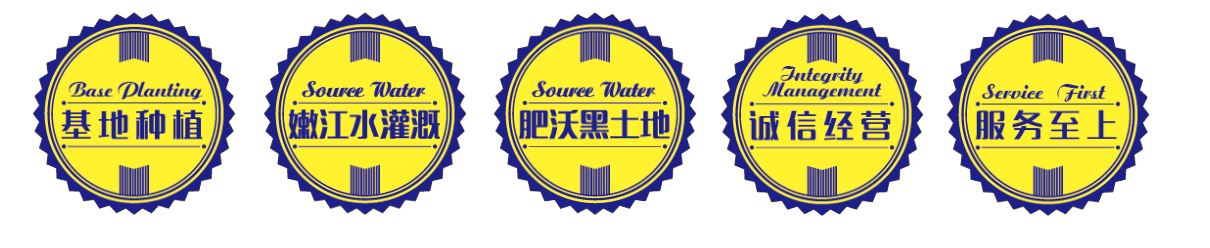 68663950898c2.png 未標(biāo)題-2.png