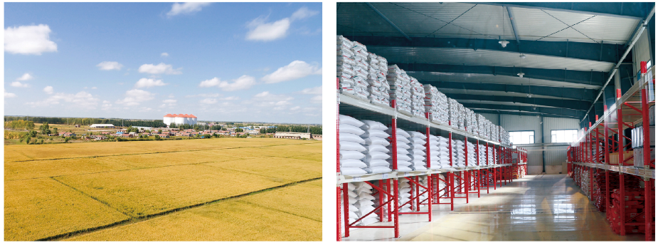 686642f85e424.png image.png